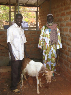 03 Le Proprietaire Du Mouton Avec Notre Negociateur Salam